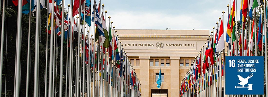 Commercial Representation Diploma